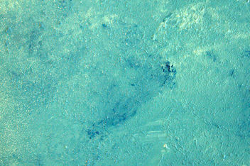 turquoise sponged kid paint texture - Free image #310795