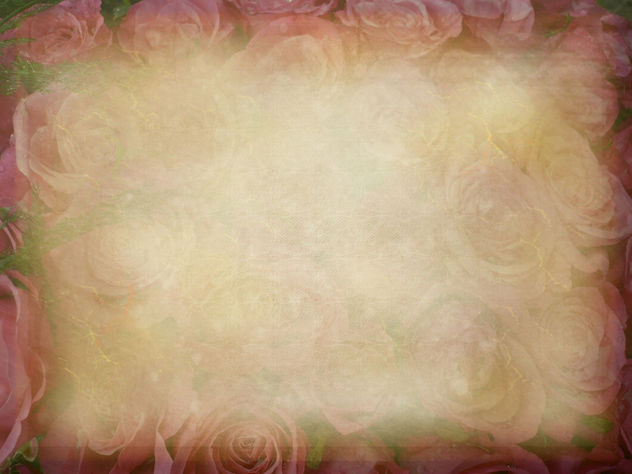 bed of roses- free texture - бесплатный image #312045