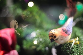 Christmas bird on a tree - image #317355 gratis