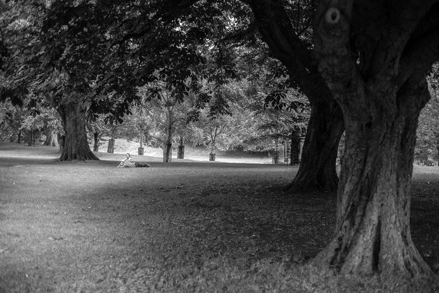 In the park... - Free image #318535