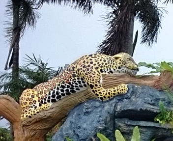 Leopard parks - Free image #318745