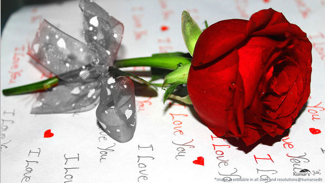 Love in saint valentines breeze with rose flower#4[Happy Valentines Day] - бесплатный image #320235