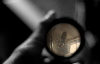 lupe - the magnifying glass - image #320985 gratis