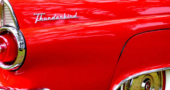 Thunderbird Serafino Adelaide #dailyshoot #leshainesimages - бесплатный image #324295
