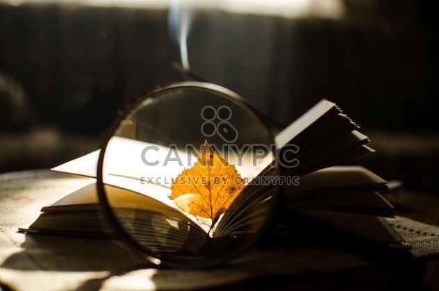 Autumn yellow leaves through a magnifying glass and incense sticks and book - image gratuit #330395 