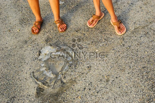Children's legs on sand - image gratuit #332915 