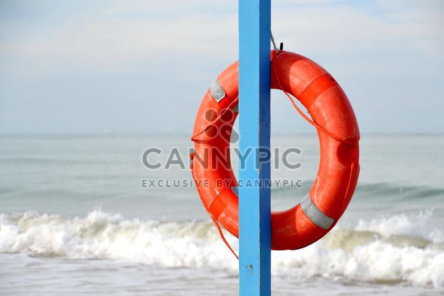 Lifesaver circle hanging on blue pillar - Free image #333135
