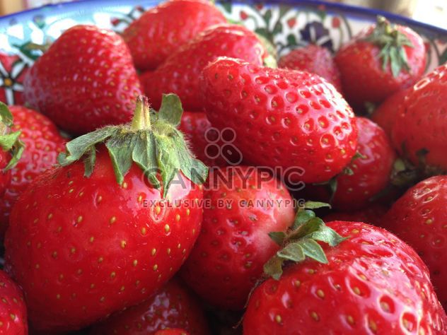 Red Strawberries - Free image #334295