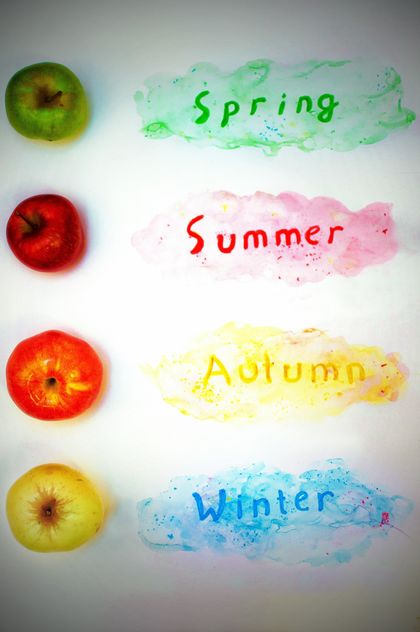 Colorful apples and seasons - Free image #337865