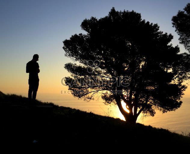 Man near tree at sunset - image #338535 gratis