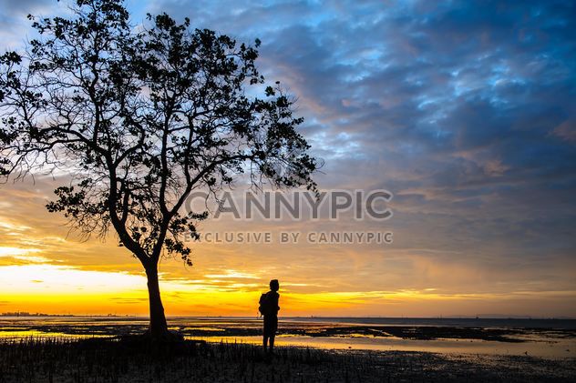 Man under tree at sunset - image #338595 gratis