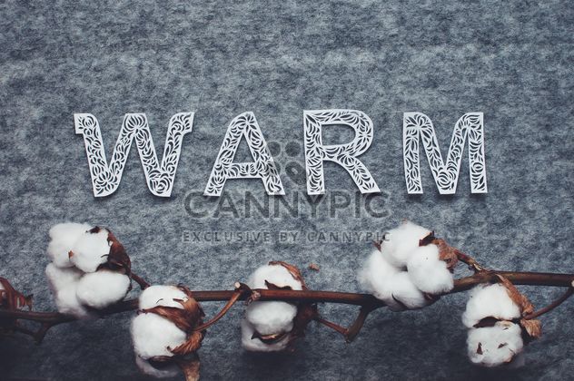 Cotton branch and word warm on felted background - image #342535 gratis