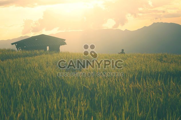 hut in the field in sunlight - image #342905 gratis