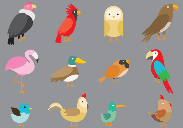 Cartoon Birds - Free vector #343335
