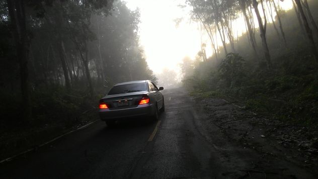 Car on a misty road through the wood - бесплатный image #344185