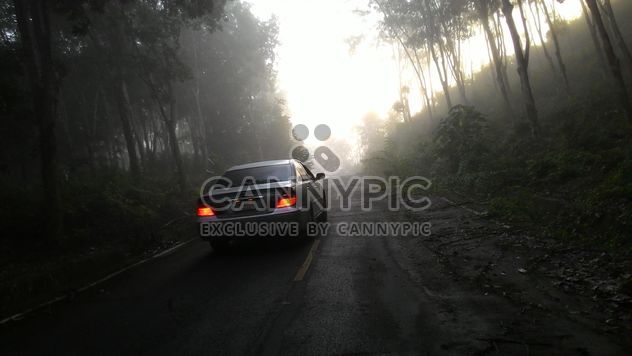 Car on a misty road through the wood - бесплатный image #344185