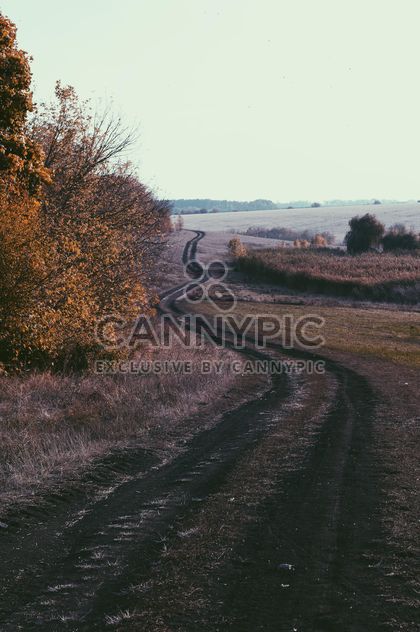 Autumn landscape with ground road - image #344595 gratis