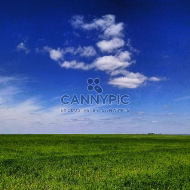Landscape with green meadow under blue sky - image gratuit #344615 