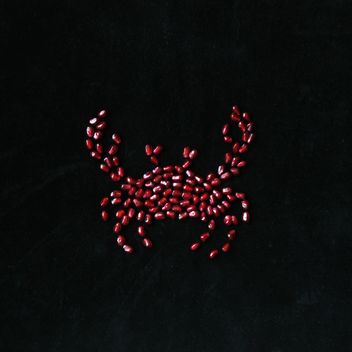 Crab made of pomegranate seeds on black background - бесплатный image #345045