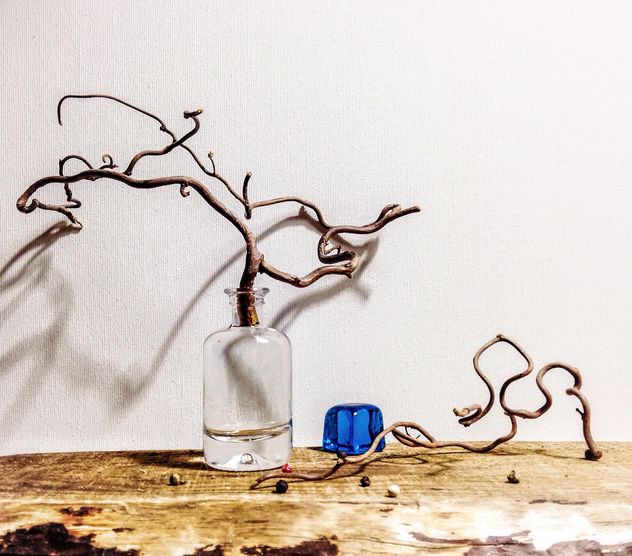 Still life with branch in bottle - image gratuit #345065 