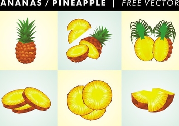 Ananas / Pineapple Free Vector - бесплатный vector #345315