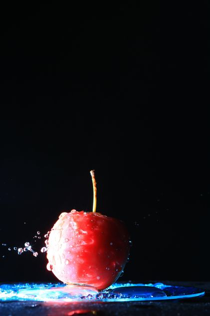 Red apple in water on black background - Free image #346615