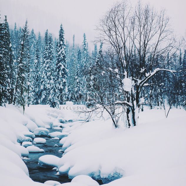 Winter landscape with creek in forest - image #347005 gratis