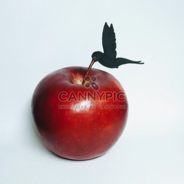 Composition with hummingbird and red apple on white background - image gratuit #348655 