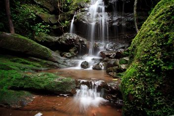 Landscape with beautiful waterfall in forest - Free image #348945