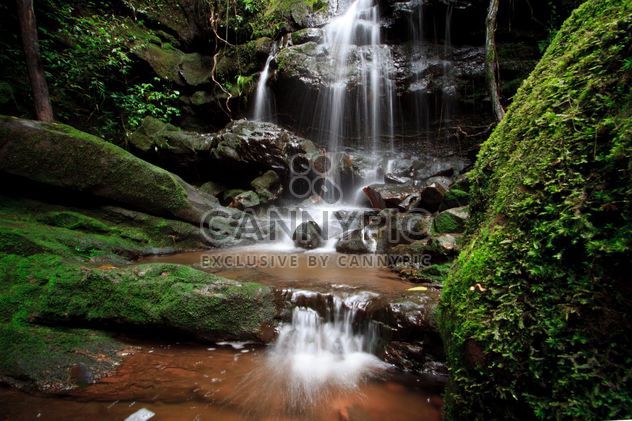 Landscape with beautiful waterfall in forest - Free image #348945