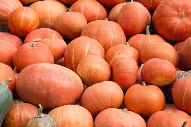 Heap of ripe pumpkins - Free image #350285