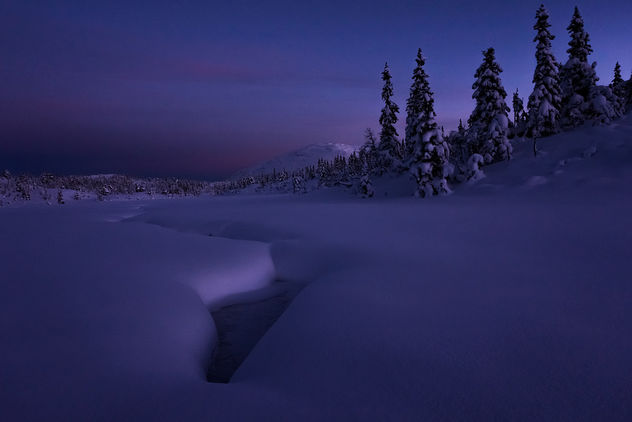 Lifjell Twilight - Free image #350785
