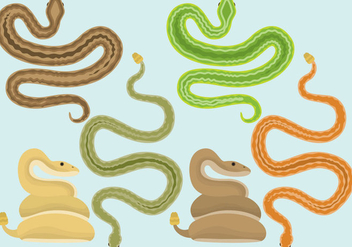 Snakes And Rattlesnake Vectors - Free vector #352395
