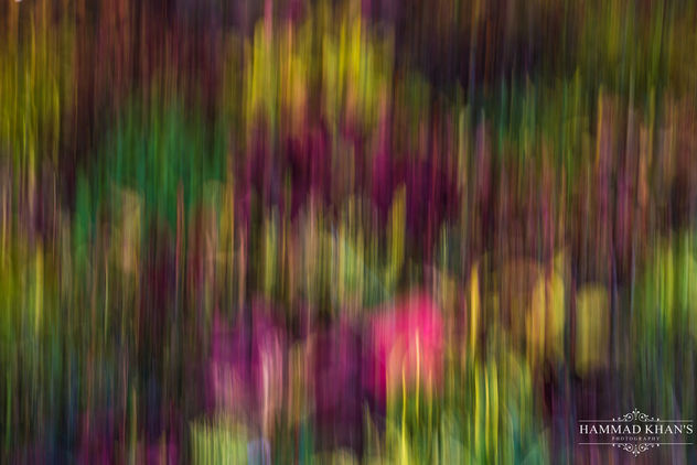 Panning shot of Flowers and Leaves - бесплатный image #355565