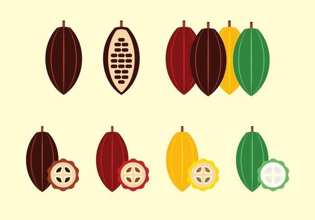 Free Cocoa Fruit and Beans Vector - vector #361535 gratis
