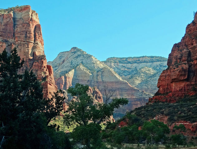 The Heart of the Canyon, Zion NP 4-15 - бесплатный image #366665