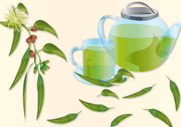 Eucalyptus Tea - vector #377905 gratis