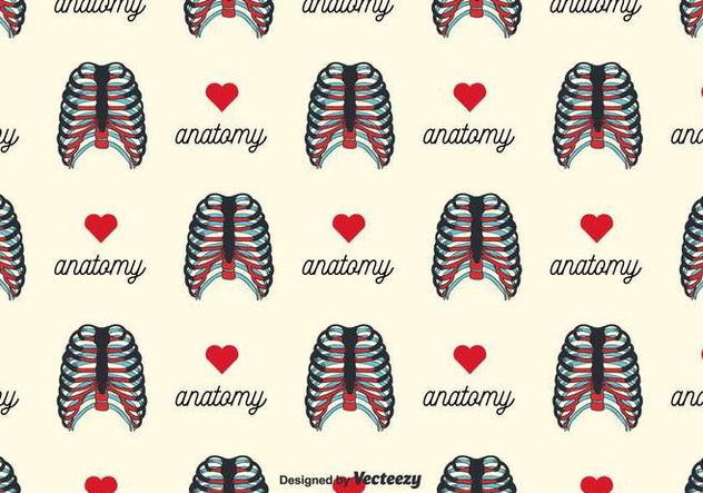 Rib Cage Background Vector - Free vector #381865