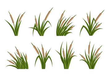 Cattails Vector Flat - Free vector #383545