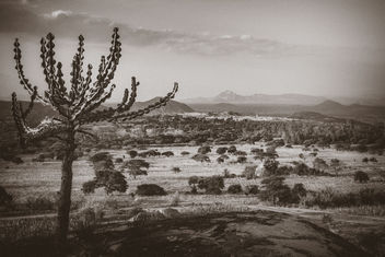 African Landscape - бесплатный image #385955