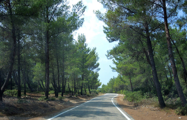Turkey (Izmir-Urla) Probably this road goes to paradise - image gratuit #387075 