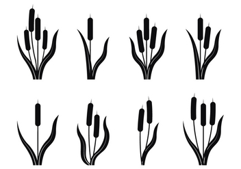 Cattails Silhouette - Free vector #390615