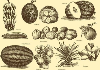 Vintage Tropical Fruits - бесплатный vector #392915