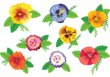 Free Colorful Pansy Vector - vector gratuit #396125 