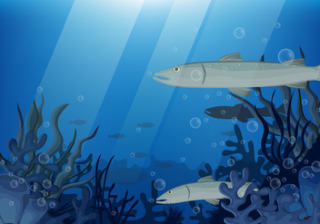 Barracuda Fish Together In Deep Water - Free vector #400655