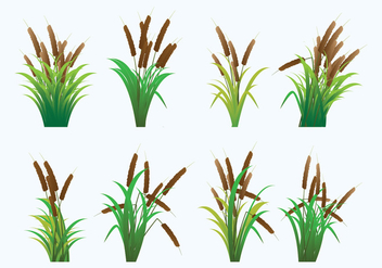 Reeds Icons - vector gratuit #401185 