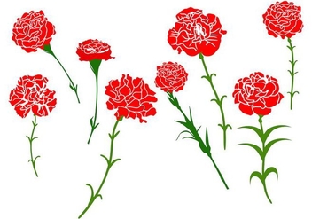 Free Carnation Flower Vector - vector gratuit #401205 