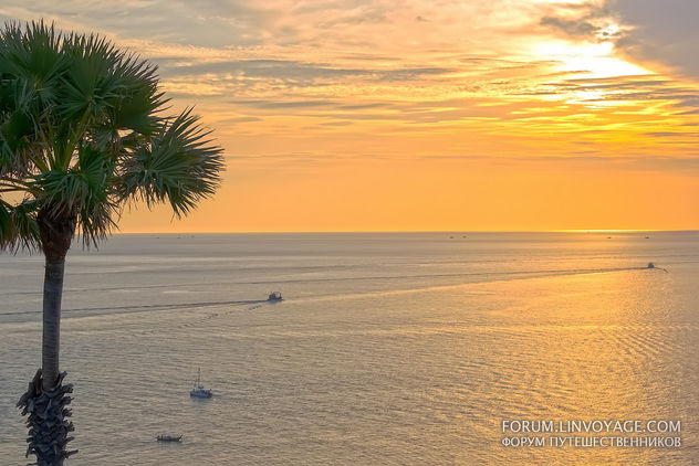 Sunset with fishing boats & palm. Phuket, cape Promthep - image #411355 gratis
