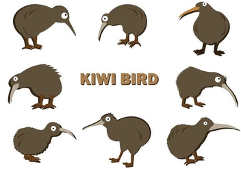Free Kiwi Bird Vector - Kostenloses vector #414655