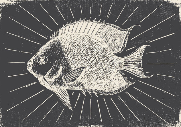 Vintage Fish Illustration - Free vector #418105